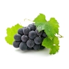 Черный виноград